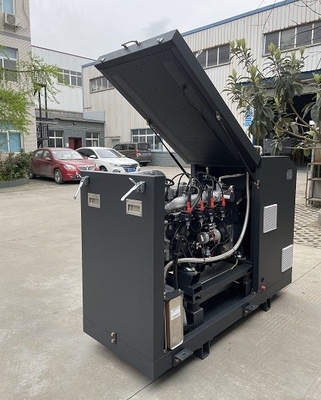 Bom preço. O CE da eficiência elevada aprovou micro CHP Mini Cogenerator Set Unit System 16kw 20kva do biogás on-line