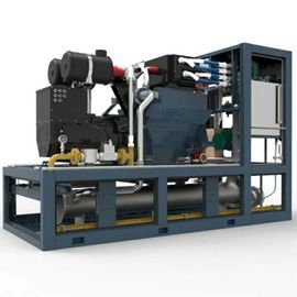 Bom preço. Calor do biogás de 3 fases e sistemas de energia combinados confiança 400V/230V alta de 220KW on-line