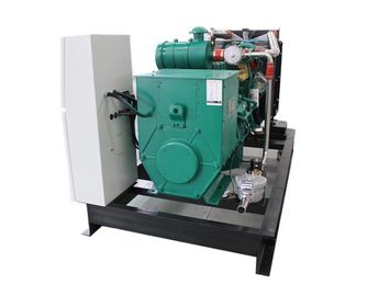 Bom preço. CHP à prova de intempéries do biogás de 50HZ 230V, calor do CHP do combustível do biogás e poder BHKW 25KW 30KVA on-line